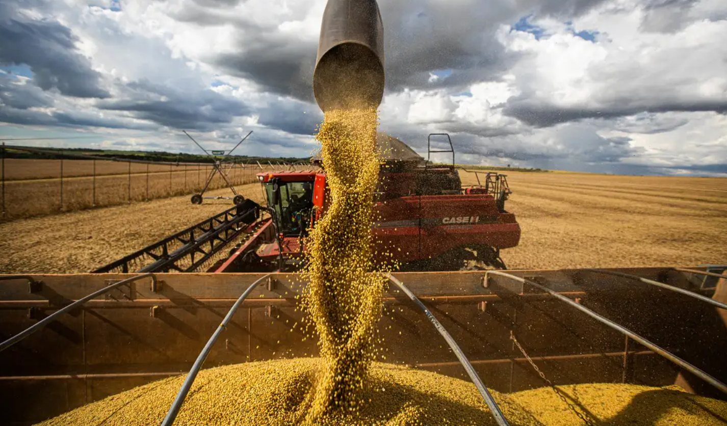 Normalmente, a China compra principalmente soja dos EUA no quarto trimestre do ano, devido à colheita da safra norte-americana