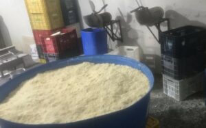 Operação apreende cerca de 20 toneladas de queijos em Minas Gerais (Foto: Divulgação)