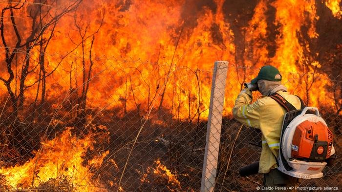 Incêndios causaram perda mundial recorde de florestas em 2024; Brasil lidera devastação