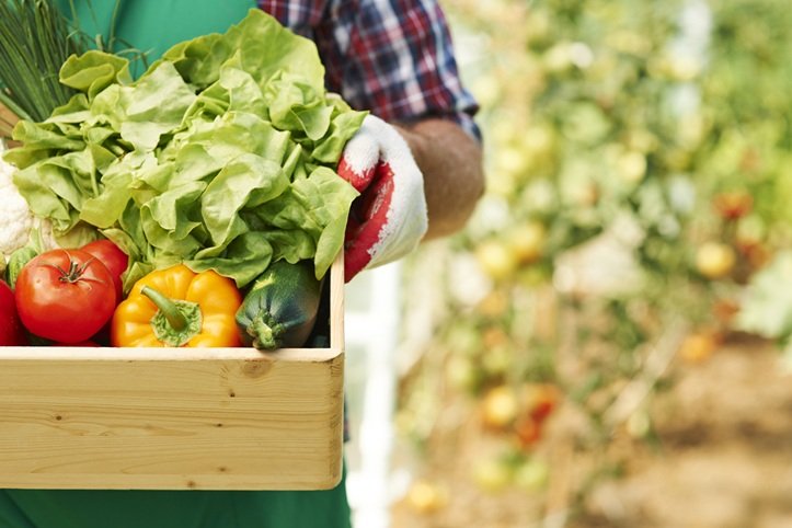 Brasil é o ‘celeiro do mundo’? Veja quais são os países que mais produzem alimentos no planeta