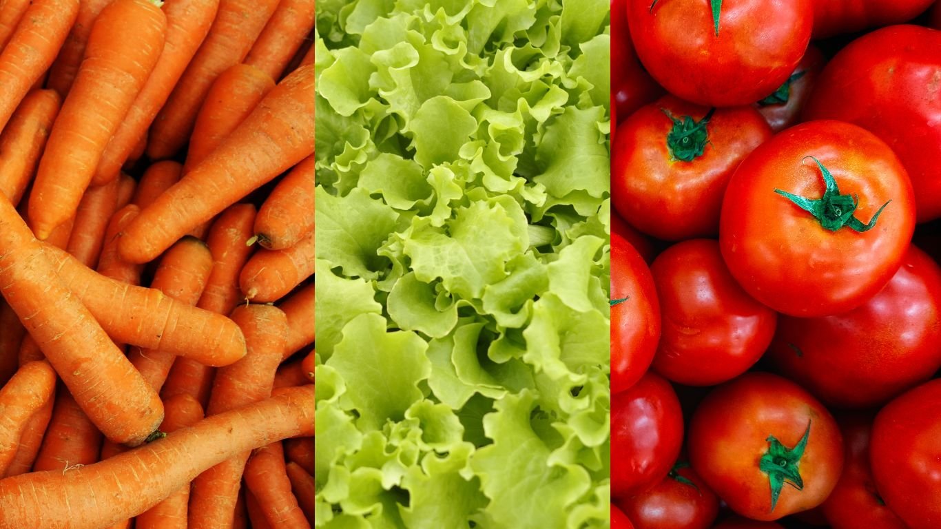 Preços da cenoura, alface e tomate caem, diz Conab; cebola e batata têm alta