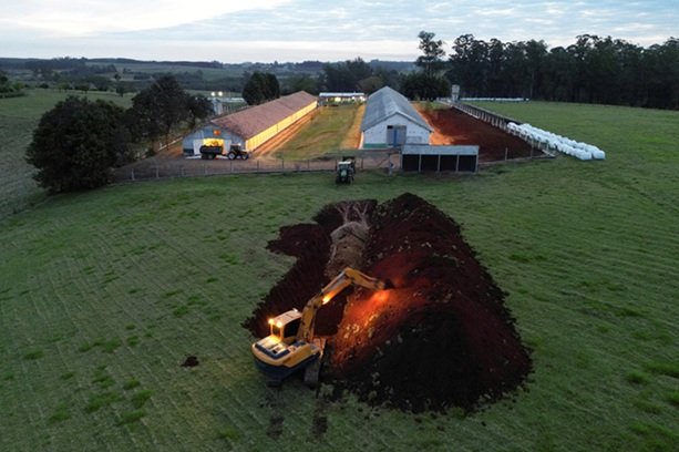 Exame descarta gripe aviária em trabalhador de granja infectada no RS