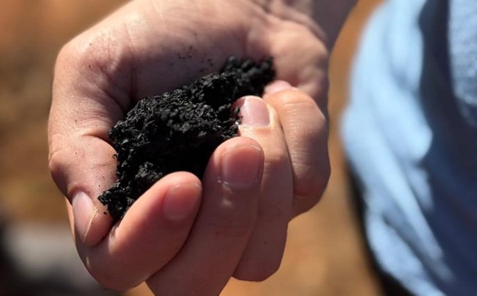 Plantações de café adotam o biochar, técnica milenar para aumentar produtividade