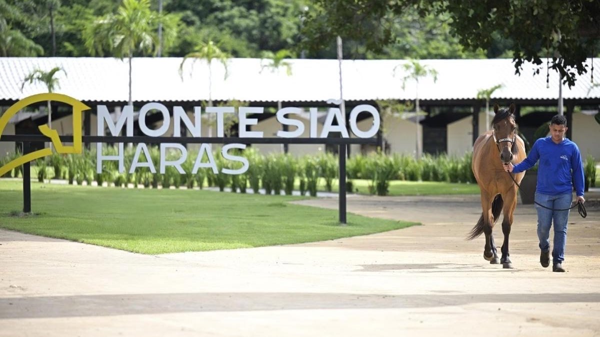 Grupo Monte Sião aposta em genética e estrutura corporativa para se tornar potência no agronegócio nacional
