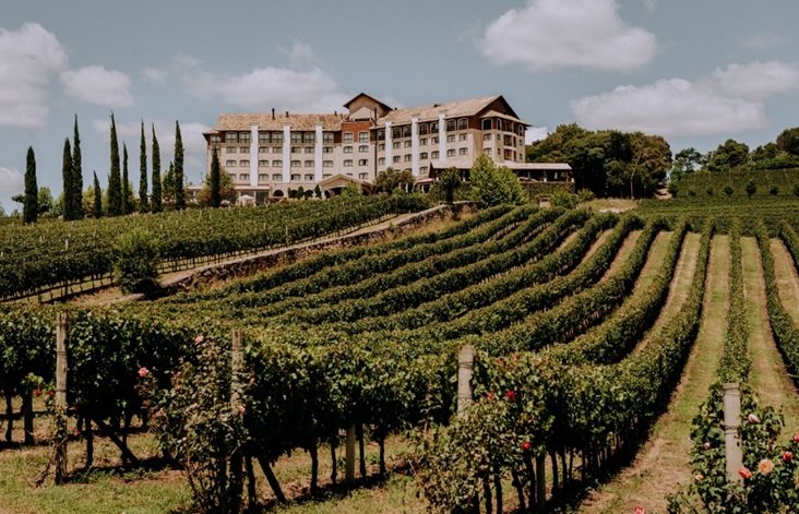 Vale dos Vinhedos busca retomada do turismo de vinhos após pandemia e enchentes
