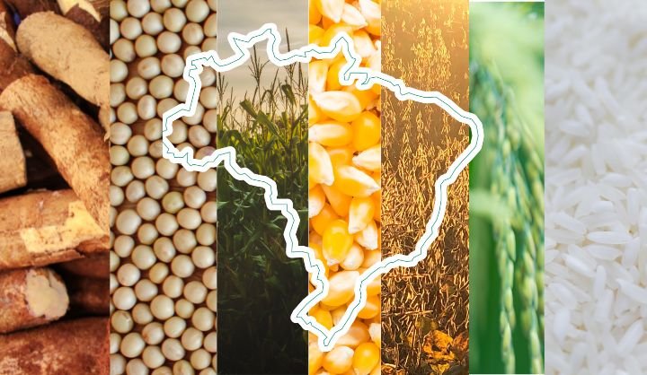 Quem produz o que? Veja a produção agrícola de cada estado do país