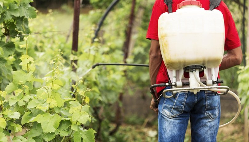 Defensivos agrícolas: por que os biológicos crescem, mas ainda não substituem os químicos