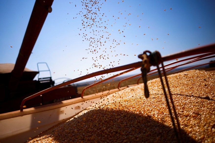 Grupo Potencial anuncia R$ 2 bi em investimento em usina de etanol de milho no Paraná