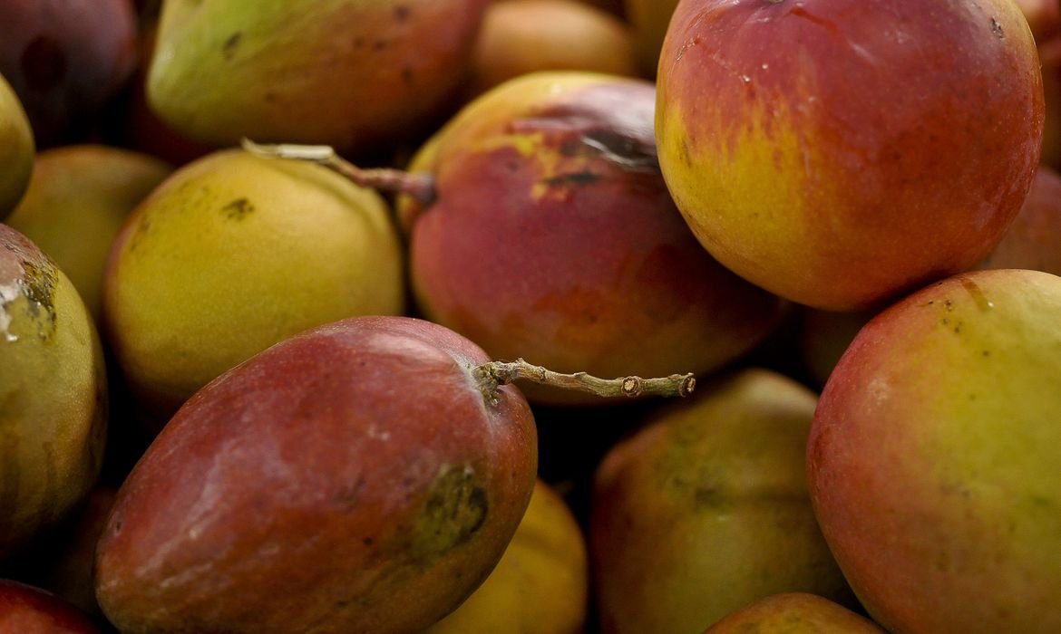 Governo vai comprar alimentos de produtores afetados por tarifaço; veja lista