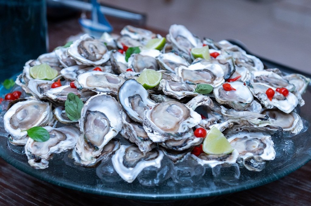 Ostras do Paraná viram segundo fruto do mar com indicação geográfica no Brasil