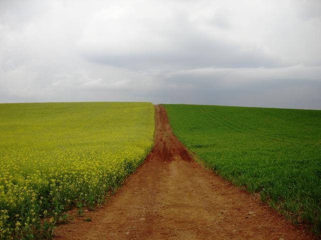 Recuperação judicial