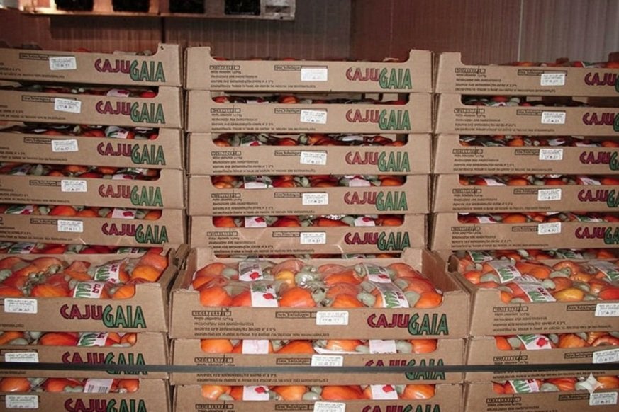 Caixas de Caju da Itaueira na década de 1990