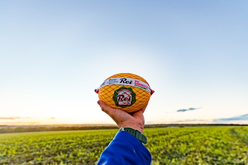 Melão embalado em redinha da marca Rei, da empresa Itaueira