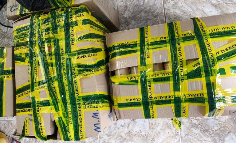 Bebidas irregulares apreendidas no Mercado Municipal do Capão Raso, em Curitiba (PR). Crédito: Reprodução/Mapa