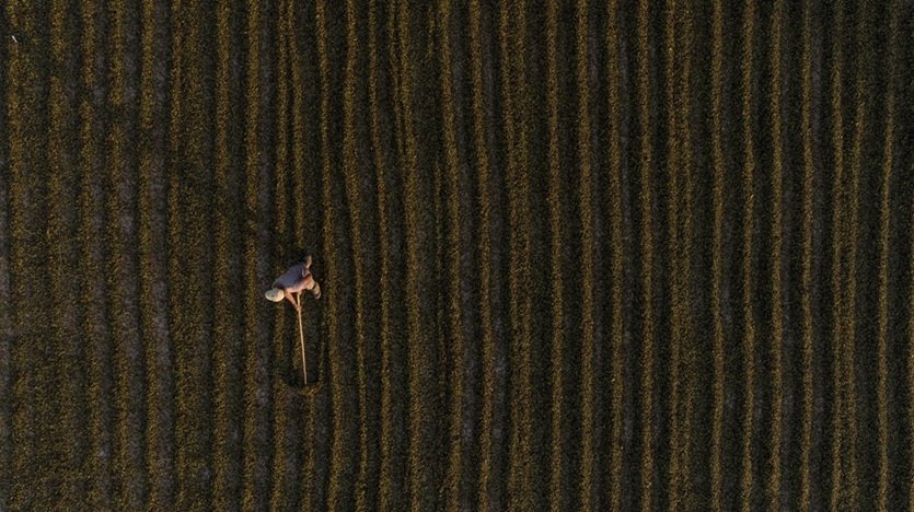 Fazenda Sequoia. Angelandia (MG). 22 de Agosto de 2019.