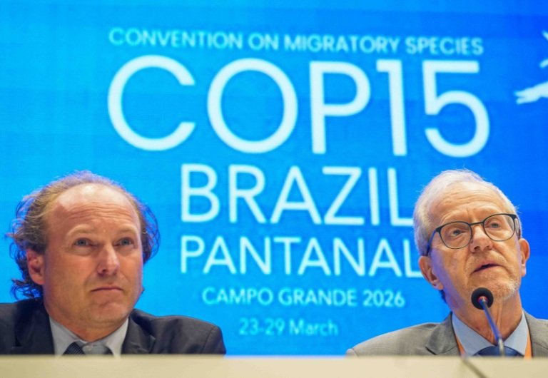 João Paulo Capobianco e Rodrigo Agostinho durante anúncio da instrução normativa sobre o tubarão-azul em Campo Grande (MS)