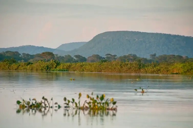 Parque Nacional do Pantanal - Foto: Palê Zuppani/ICMbio