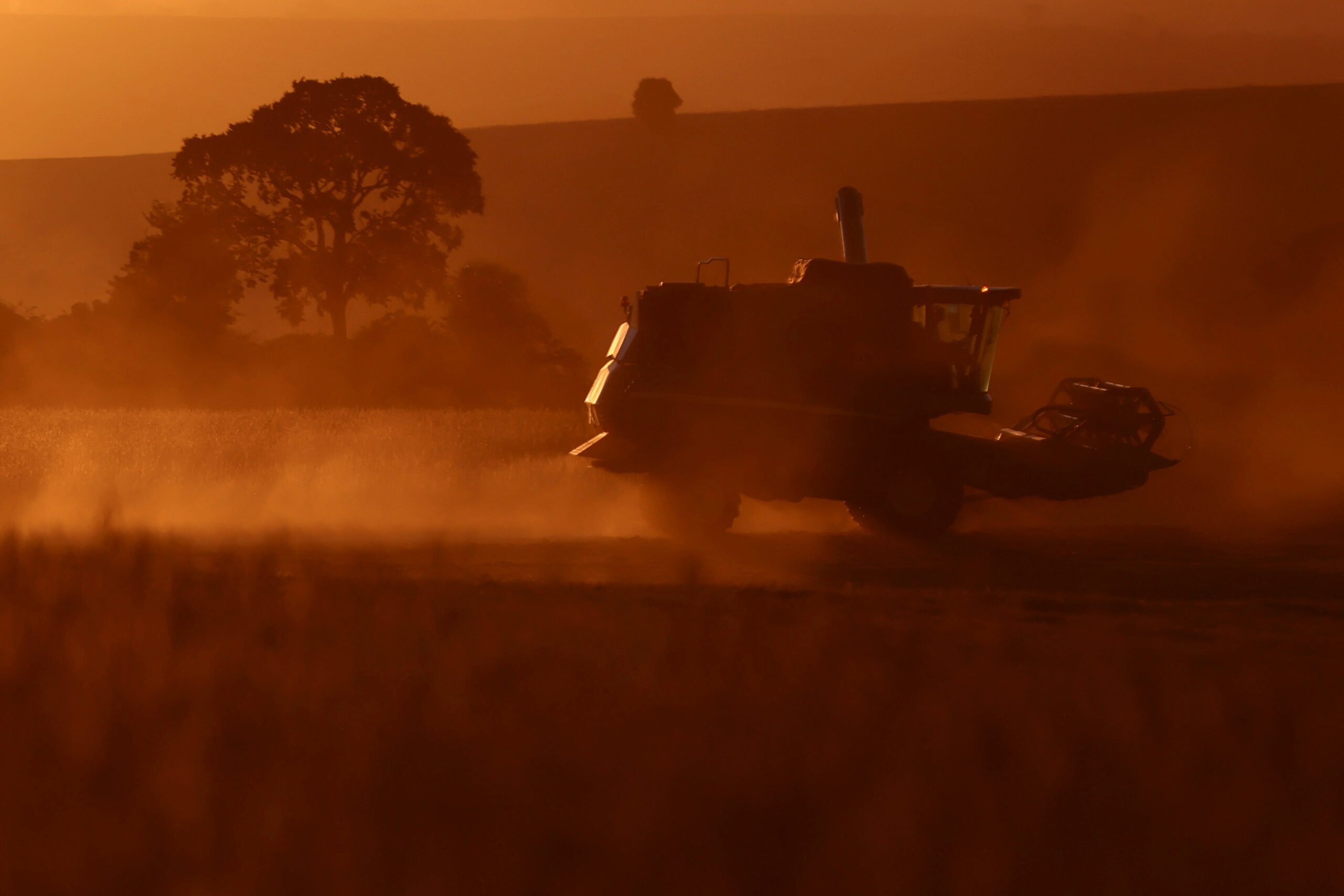 Move Agricultura: como funciona a linha de crédito de R$ 14 bi para compra de tratores e máquinas