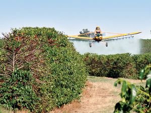 Vantajosa e eficiente, aviação agrícola decola no Brasil
